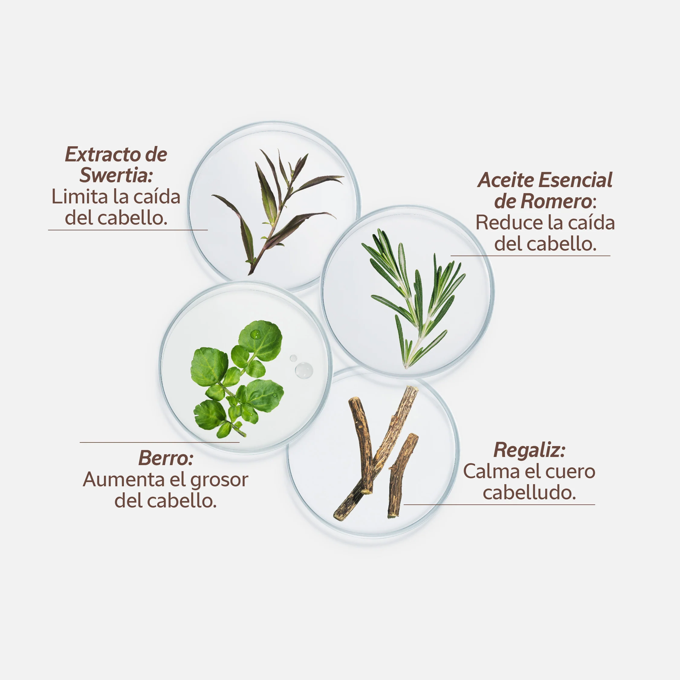 Imagen del producto 10