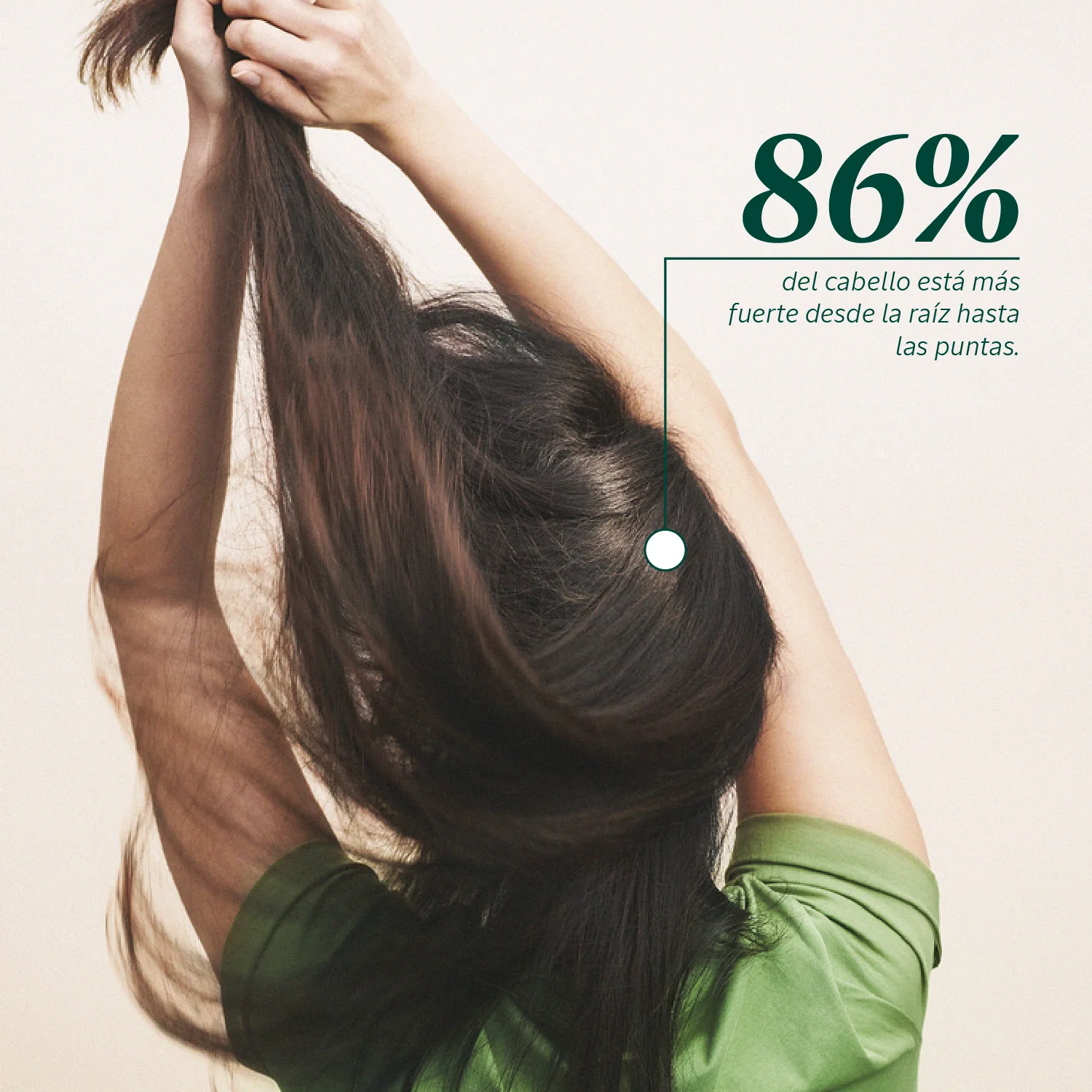 Imagen del producto 9